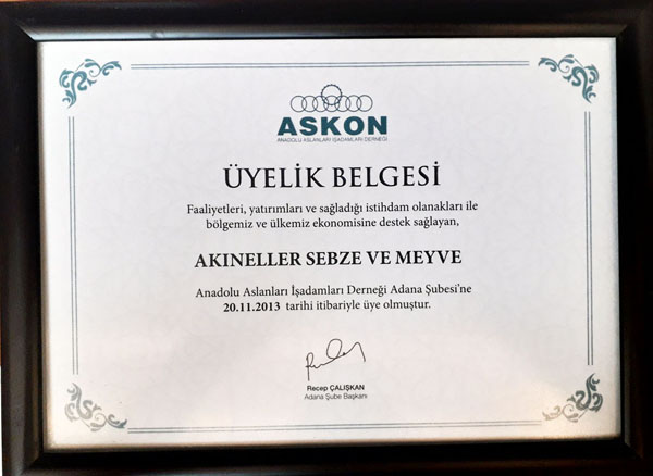 ASKON Akineller