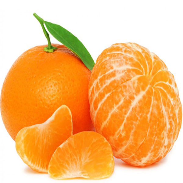 Mandalina �e�itleri
